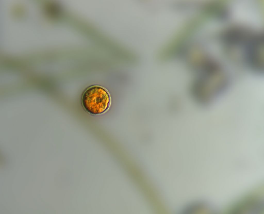 Piccolo discorso senza meta.